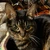 猫の抜け毛
