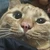 猫太郎さん