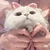 kayo