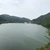 胃酢