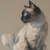 ベル