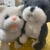 ひかり