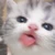 みゃん