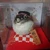 アカショウビン