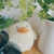 もろこし