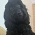 chato1213