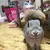 ヒロ