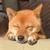 まる