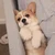 suu