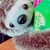 yurina