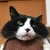 むっく