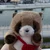 pontanu_fly