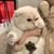 わくわくさん