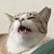 びけ