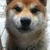 たく