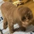 mugichin_223