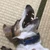 おー