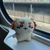 すぐる