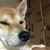 そがし