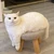 てろーん