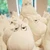 コナミナコ