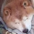 ひーちゃん