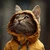 shuNSuke