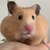 サツキ