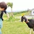 Takashi