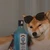 Ryo