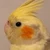 湘南まぐろ