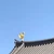 モエコ