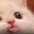 ポコポコ