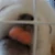 ぬんぬん