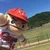 よしぽん