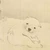 こっこ