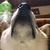 せーな