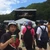 やまも