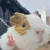えびふらい