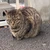 よしだ