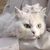 まりん
