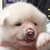 yomu