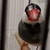 さこま