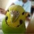 さかもとなおや