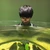 浜野宏章