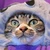 ミサキ