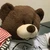 はやちんこ