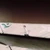 しげお