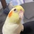 永野功大