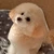 ゆうと